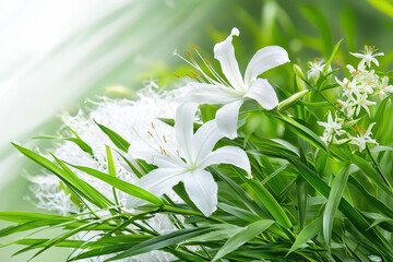 Beautiful white lilies and delicate flowers surrounded by lush green foliage create serene and calming atmosphere