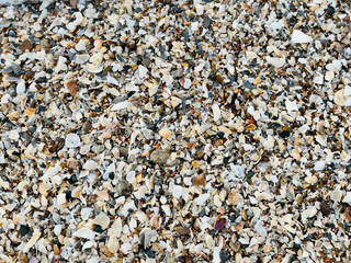 pebbles on the beach