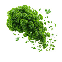 Obraz premium Green leafy human head silhouette on white background. Swirling foliage fragments create a side profile. Concept of mental health growth and renewal. Ideal for therapy, wellness