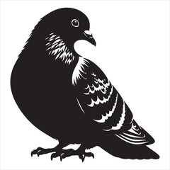 Fototapeta premium siting pigeon Silhouette Vector Art and Graphic vector black color silhouette , white background 