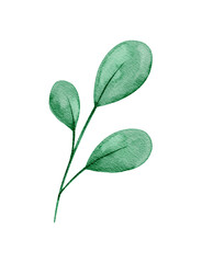 Minimalist Watercolor Leaf Sprig, Hand Painted Green Botanical Clipart Illustration