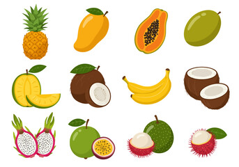 Illustration of various tropical fruits arranged in a grid pattern