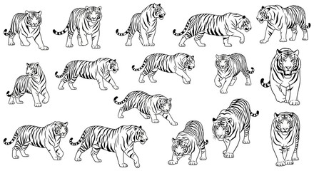 Various tiger illustrations in different poses and angles  