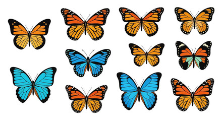 Various colorful butterflies in different positions and patterns  