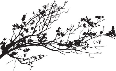 Obraz premium tree branches silhouette