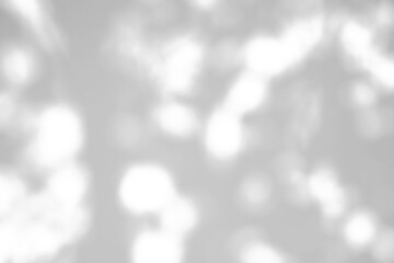 Abstract natural tree leaves shadow on white wall background