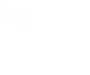 White light rays glowing effect isolated transparent background. Shining sunlight, Sparkling star burst. Gradient bright spotlight, Flare light, lens flare effect. Sun, Glow light overlay for design