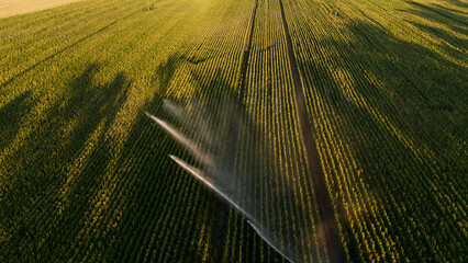 Irrigation et Arrosage champs de Mais