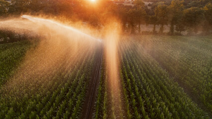 Irrigation et Arrosage champs de Mais
