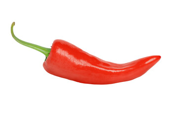 red hot chili pepper