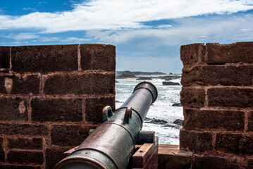 2024 03 21 Essaouira landscape 119