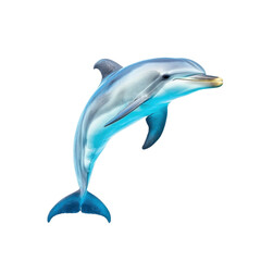 A dolphin isolate on white background, showing its streamlined body and smooth skin. PNG