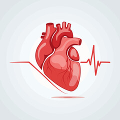 Human heart illustration with heartbeat line