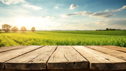 Rustic Wooden Table with Green Field

