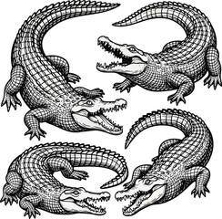 Naklejka premium crocodiles vector design.