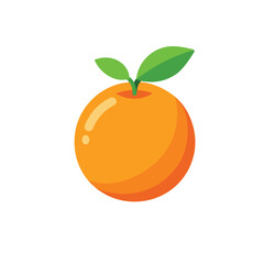 orange fruit vector illustration