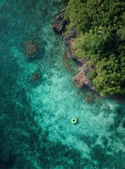 Turquoise water meeting lush green jungle shore with a lime green inflatable ring