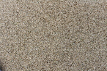 The village harvested excellent golden barley