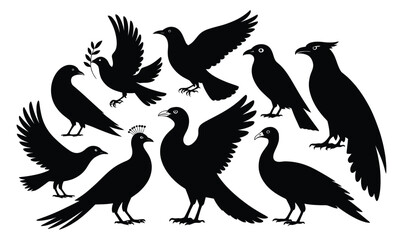 Silhouettes of eight birds in unique poses featuring crest, beak, and wing variations—ideal for wildlife, ornithology, or artistic designs