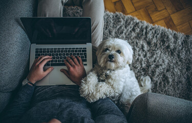 A top view of a man wearing yellow working on his laptop while sitting on the sofa with a dog lying next to him