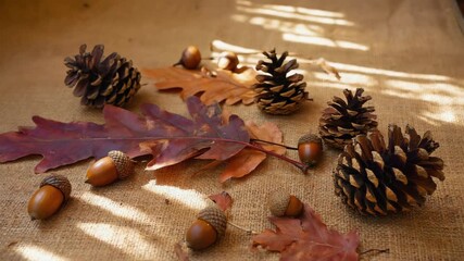 Autumnal Still Life with Pine Cones and Acorns on Burlap for Seasonal Decor - Powered by Adobe