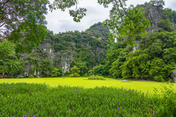 View of Tam Coc Bich Dong which is a very famous destination of Ninh Binh city
