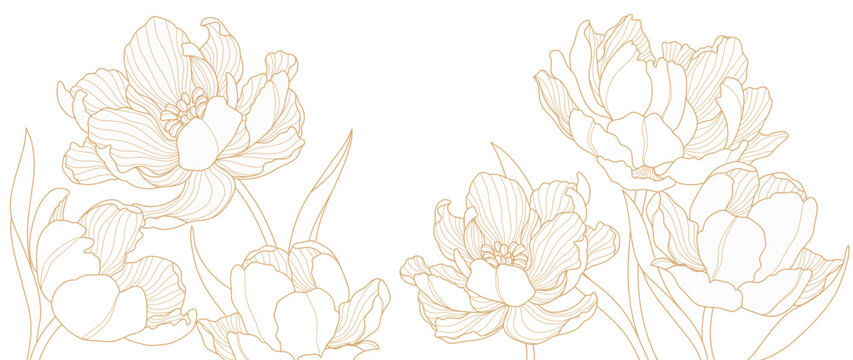 Gold Flower hand drawn on white background vector. Natural botanical elegant tulip flower with gold line art. Luxury illustration for decoration, wall decor, wallpaper, cover, banner, package, card.