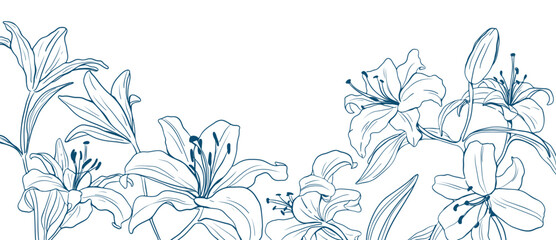 Flower hand drawn on white background vector. Natural botanical elegant lily floral with blue line art. Luxury illustration for decoration, wall decor, wallpaper, cover, banner, package, card.