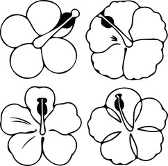 Set of Hibiscus Silhouette Vector Art,
Tropical Hibiscus Flower Silhouette Set