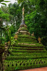 Temple in the Jungle