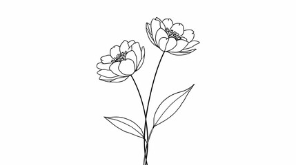 Obraz premium flower isolated on white background