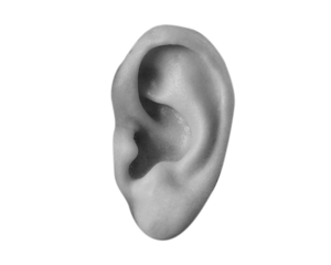 Human ear - modern collage element isolated on transparent background