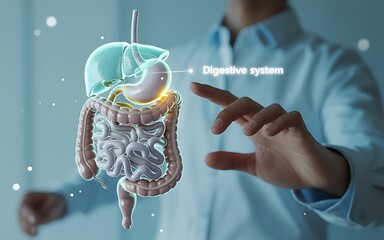 Doctor interacting with a holographic 3d model of the human digestive system highlighting the stomach and liver for medical education