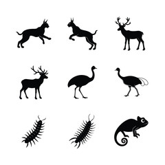Fototapeta premium vector silhouettes of animals