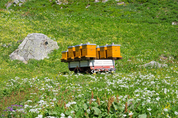 Beehive wooden boxes on trailer in the Swiss Alps at L&ouml;tschental Valley on a sunny late spring day. Photo taken June 19th, L&ouml;tschental Wiler, Switzerland.