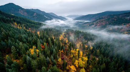 Aerial view of a foggy mountain landscape with dense forests and autumn colors on a cloudy day