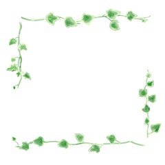 アイビーのイラストセット、ボタニカルナチュラル系。