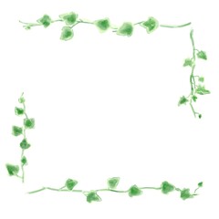 アイビーのイラストセット、ボタニカルナチュラル系。