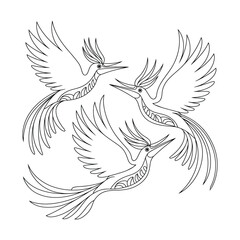 Birds of Paradise dancing Coloring Page, Vector, Illustration, Icon, Outline, Line Art, Silhouette, White Background.