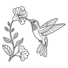 Hummingbird feeding on exotic plant Coloring Page, Vector, Illustration, Icon, Outline, Line Art, Silhouette, White Background.
