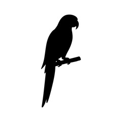 Fototapeta premium Black Silhouette of a Parrot in a Brunch on White Background
