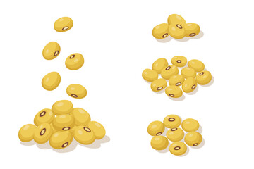 set of Soybean vector logo isolated on white background.	