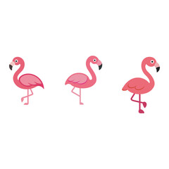 Obraz premium cute vector flat colour flamingos in different pos set bundle