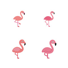 Fototapeta premium cute vector flat colour flamingos in different pos set bundle