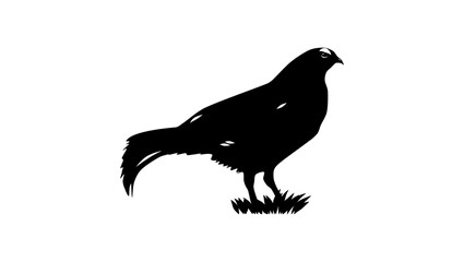 Caucasian Grouse bird , black isolated silhouette
