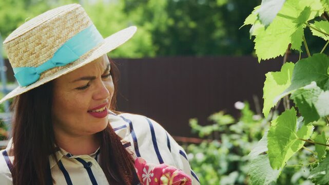 Woman gardener wearing a straw hat and gloves is carefully tending to plants in a lush green garden, surrounded by vibrant foliage and natural sunlight, showcasing gardening skills and passion