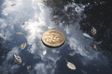 Ephemeral Reflections: A single antique coin floats serenely amidst the reflections of a cloudy sky and falling leaves in a tranquil pool of water.
