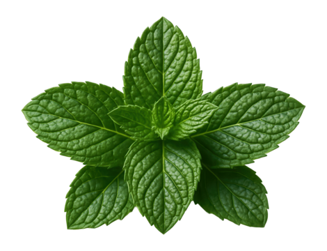 Jerusalem artichoke soup in a rustic stoneware bowl, topped with a swirl of cream and a sprig of fresh thyme.