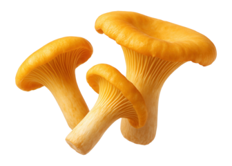 Sliced porcini mushrooms arranged in a fan shape, revealing their creamy white interiors, on a dark slate platter