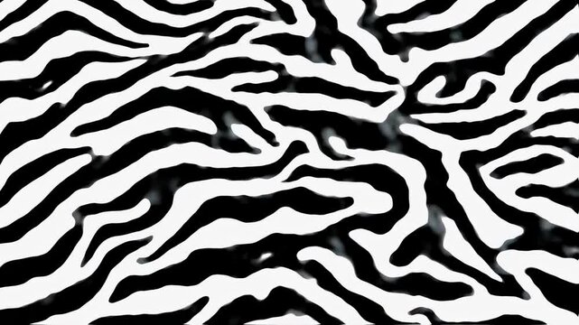 Abstract zebra pattern animation, seamless loop, animal print background video